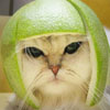 TrevorS's Avatar
